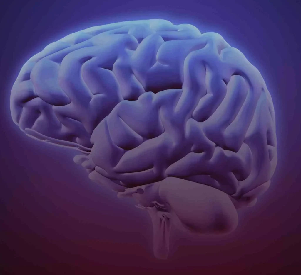 Ilustrasi otak bagian cerebellum yang mengalami gangguan koordinasi gerak.